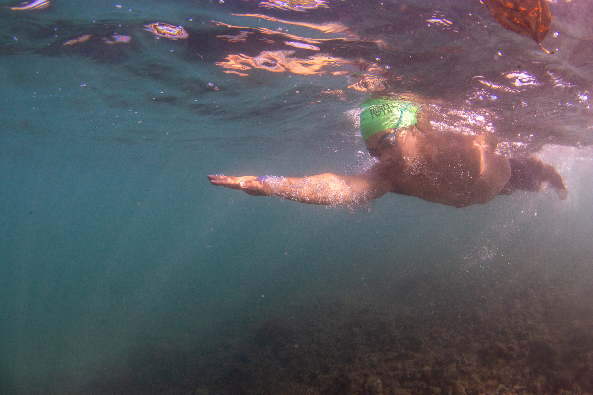 north shore swim series custom jammers north shore swim series custom jammers