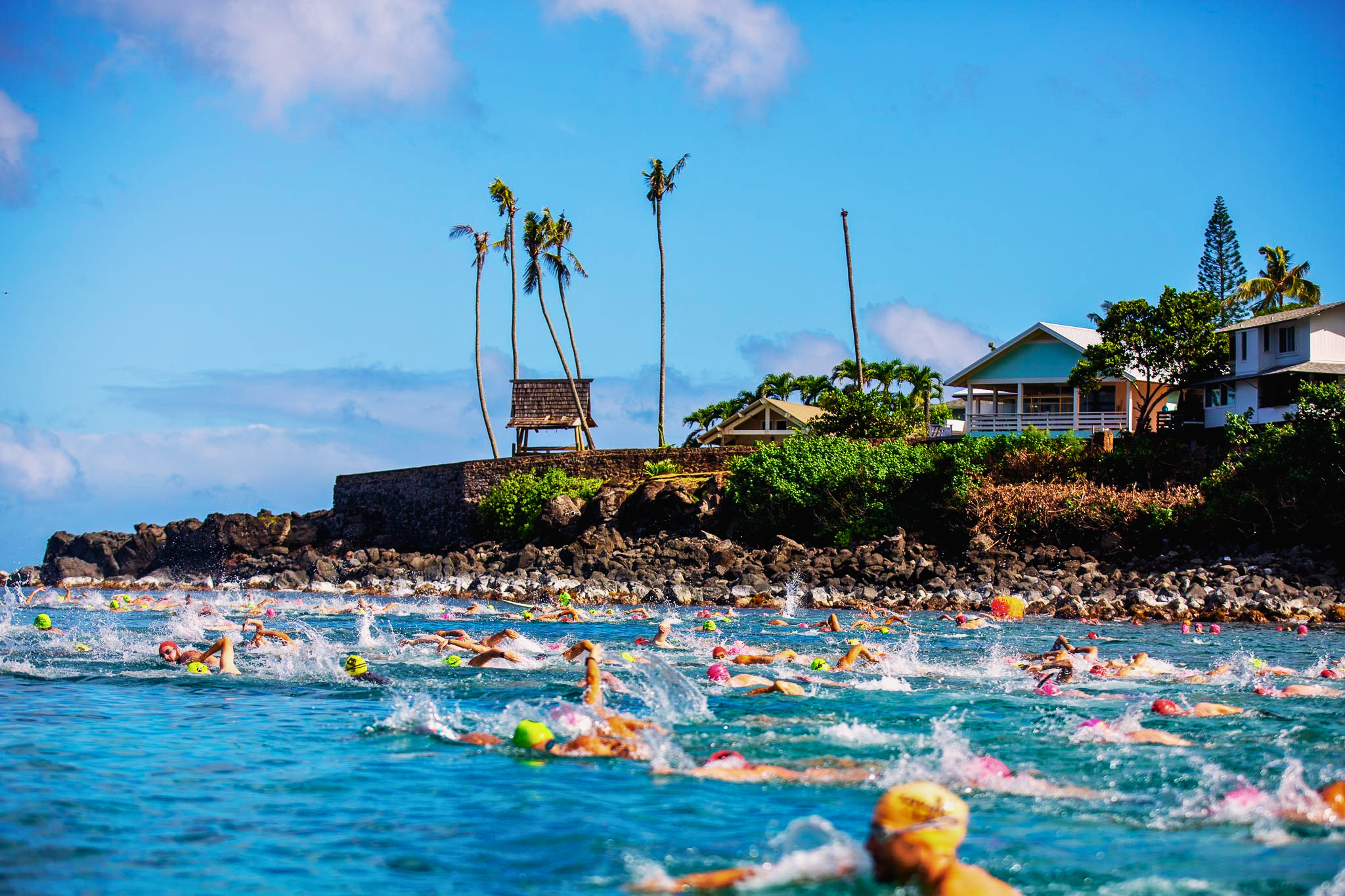North Shore Swim Series